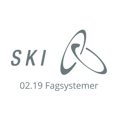 SKI 02.19 fagsystemer